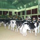 경진목장 이미지