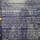 2002참치 이미지