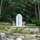 금원산생태수목원 이미지