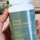 건공생