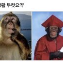 마고 스튜디오 이미지