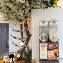 숯불집 | 평택 맛집 고기집 이화정 숯불돼지갈비 솔직 후기