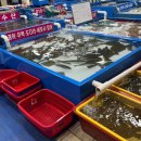 동해수산초장집 이미지