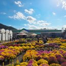 엄궁동 농산물도매시장 맞은편 이미지