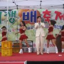 서생의원 Daum카페