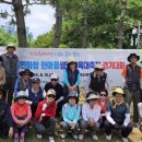 창원시 시민화합 한마음 생활체육대축전 걷기대회 동영상 이미지