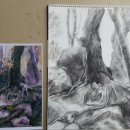 서양화 기초 이미지