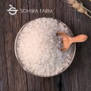 윤기농장 이미지