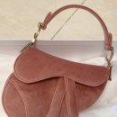 레이디올 이미지