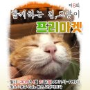 이에스피부네일