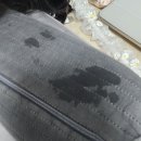 9월 1주