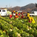 뽑기사랑 이미지