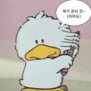 광천통앞 - 좌 | 셀프 웨딩촬영 웨딩스냅 추천 후기 : 강원도 켄싱턴호텔 설악 장소별 웨딩촬영 시안+꿀팁