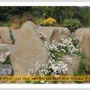 25시카서비스 이미지