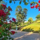 신점선생묘 이미지