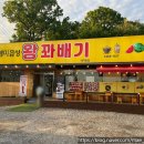 (주)해미 | 고양시 대자동에서 만난 해미읍성 왕 꽈배기 후기