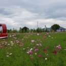 한강시민공원(등수국터널 1) 이미지