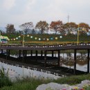 장성황룡강노란꽃잔치 축제장2 이미지