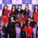 퍼플 스포티비뉴스