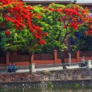 꽃피는 풍경 이미지