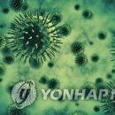 대웅슈퍼 이미지