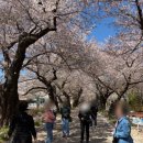 자인힐병원 이미지