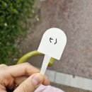 목포아동병원 | 목포 케이찹사라다 웨이팅 오픈런 줄 서서 먹어본 후기