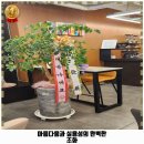 희망카세차장 이미지