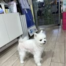 아리따움삼문점