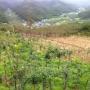 송호농장 이미지