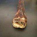 오늘독 | 강아지 간식 지위픽 독 사슴 정강이뼈 내돈내산 후기