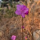 푸른마을관리사무소 | 국립낙안민속자연휴양림 숙박후기