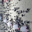 무럭이농장 이미지