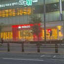 삼부스포렉스 이미지