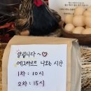 나예 | [평택 안중 카페] 베이커리 카페 나예다락, 에그타르트 맛집 내돈내산 후기