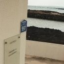 브리엔츠 스테이 | [필름일기] 밍놀타 x-300과 함께하는 ???번째 필름(제주)