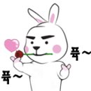 엘7(L7) 이미지