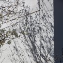 금호동 장미아파트 이미지