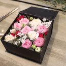 라떼플로라 이미지