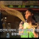 지니카센타 이미지