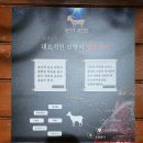 금잔디흑염소 이미지