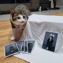 상남동273 이미지