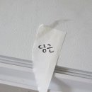 노동자원재활용 | 이사 비용 줄이는 숨은 꿀팁 4가지: 돈 아끼고 환경도 지키는 현명한 정리법