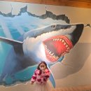 공룡게임장 이미지