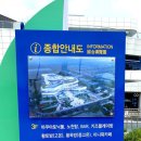 율포솔밭해변1 이미지