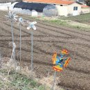 부흥 마을회관 이미지