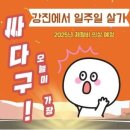 강진스테이 OSO(오소) | 강진에서 일주일 살기 기본정보 푸소 오소스테이 워케이션 뜻 안내