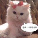 신림45동교앞 | 신림 그룹피티 헬스장 추천 좋은습관 PT STUDIO 헬린이 리얼 후기