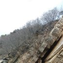 요땡 이미지