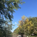 금오산게임 이미지